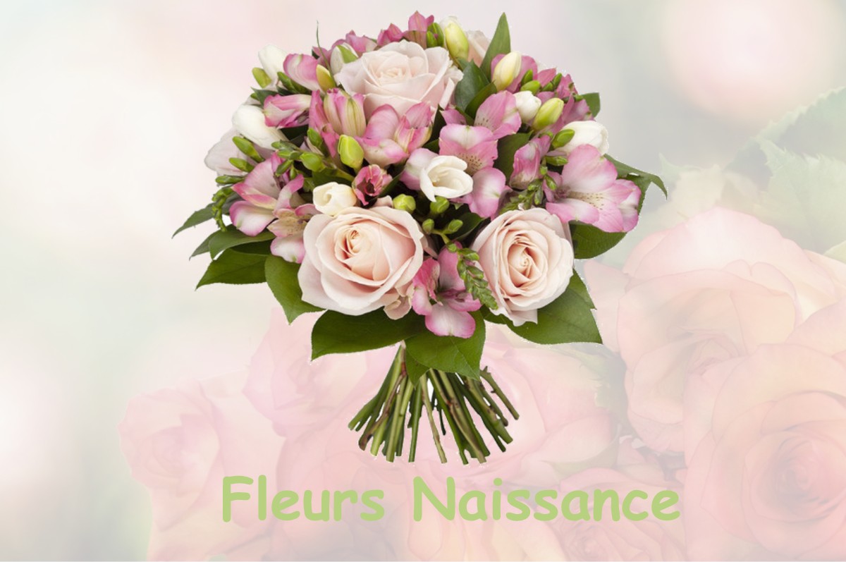 fleurs naissance LA-BENISSON-DIEU