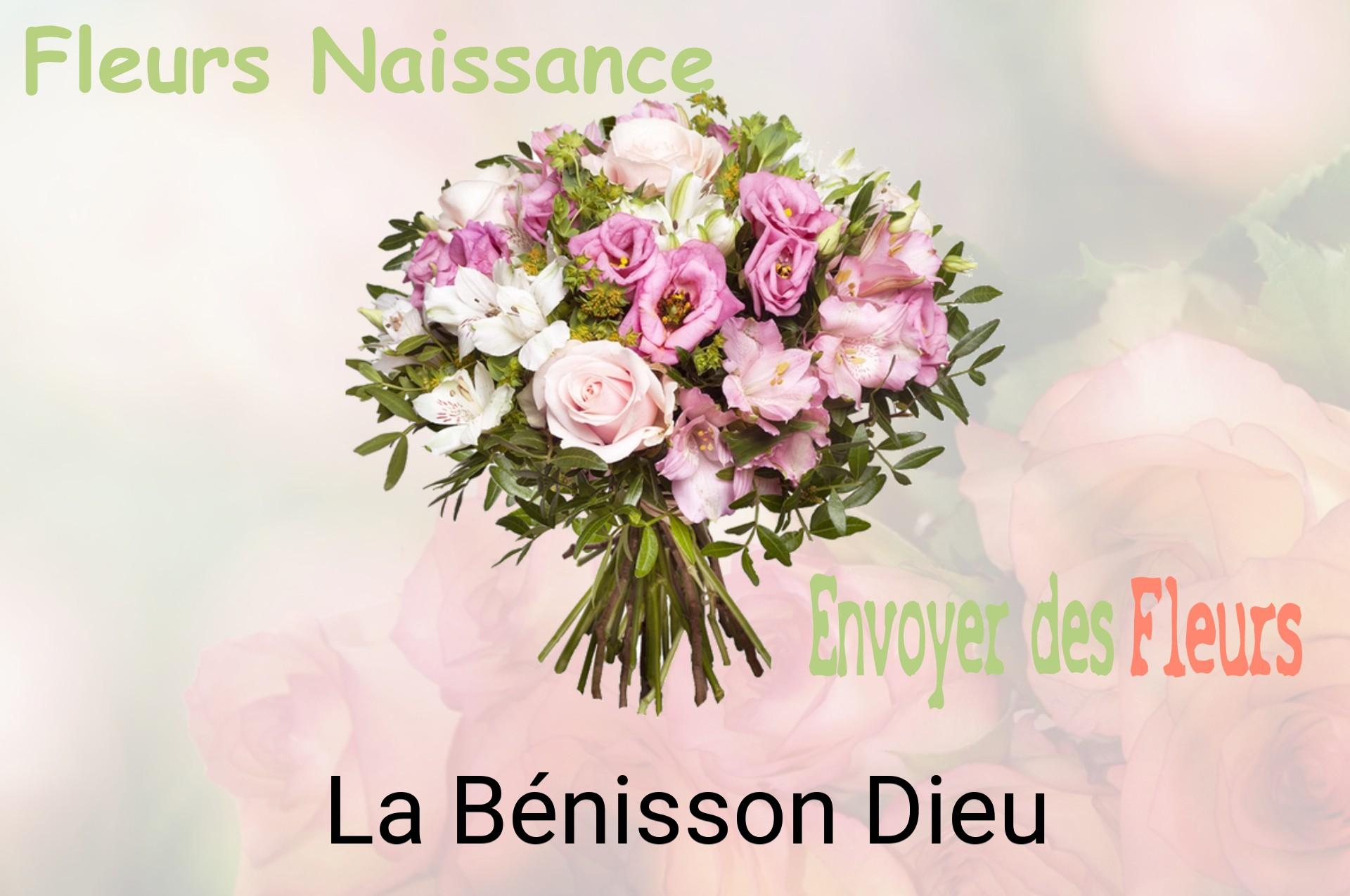 Bouquet de fleurs de naissance livré à La Bénisson-Dieu